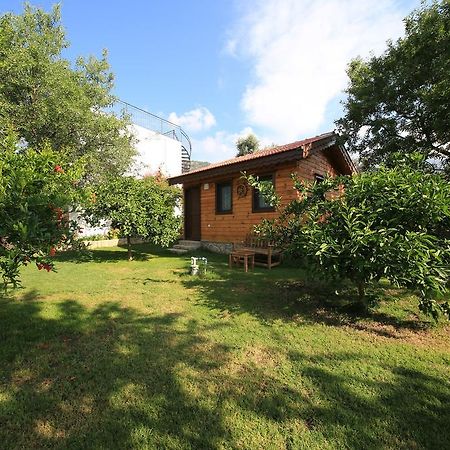 Bal Badem Bungalow Datca Exterior photo